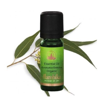 etherische olie eucalyptus